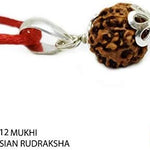 rudraksha pendant rudraksha necklace  rudraksha silver pendant  12 mukhi rudraksha rudraksha beads Rudraksha prayer beads 12 mukhi tweleve mukhi rudraksha japa beads buddha beads