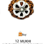 rudraksha pendant rudraksha necklace  rudraksha silver pendant  12 mukhi rudraksha rudraksha beads Rudraksha prayer beads 12 mukhi tweleve mukhi rudraksha japa beads buddha beads