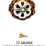 rudraksha pendant rudraksha necklace  rudraksha silver pendant  12 mukhi rudraksha rudraksha beads Rudraksha prayer beads 12 mukhi tweleve mukhi rudraksha japa beads buddha beads