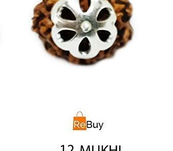 rudraksha pendant rudraksha necklace  rudraksha silver pendant  12 mukhi rudraksha rudraksha beads Rudraksha prayer beads 12 mukhi tweleve mukhi rudraksha japa beads buddha beads