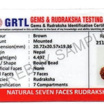 7 mukhi rudraksha original 7 mukhi rudraksha certified rudraksha beads rudraksha single rudraksha pendant rudraksha silver pendant nepali rudraksha 7 face rudraksha