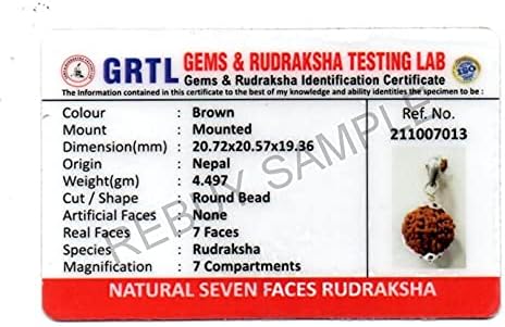 7 mukhi rudraksha original 7 mukhi rudraksha certified rudraksha beads rudraksha single rudraksha pendant rudraksha silver pendant nepali rudraksha 7 face rudraksha