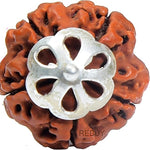 panchmukhi rudraksha panchmukhi single rudraksha rudraksha silver pendant rudraksha pendant  real rudraksha 5 mukhi pendant  rudraksha  5 mukhi rudraksha original rudraksha certified  panchmukhi rudraksha  nepali rudraksha
