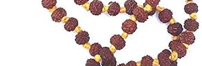 5 mukhi rudraksha mala 5 mukhi rudraksha original certified natural rudraksha mala 108 beads rudraksha beads hindu japa mala hindu pooja items rudraksha mala for men 108 beads mala for chanting hindu mala for god mala for pooja puja lord shiva jaap mala for men women rudraksha beads meditation mala beads spiritual gifts five face rudraksha hindu gifts nepali rudraksha mala rudraksha thread 5 mukhi rudraksha mala 108 beads rudraksha beads hindu japa mala