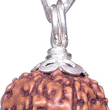 8 mukhi rudraksha with certificate rudraksha pendant rudraksha silver pendant for men women