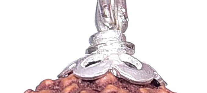 8 mukhi rudraksha with certificate rudraksha pendant rudraksha silver pendant for men women