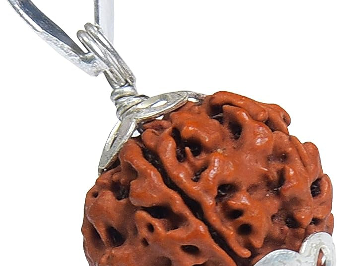 6 mukhi rudraksha rudraksha pendant rudraksha silver pendant for men women