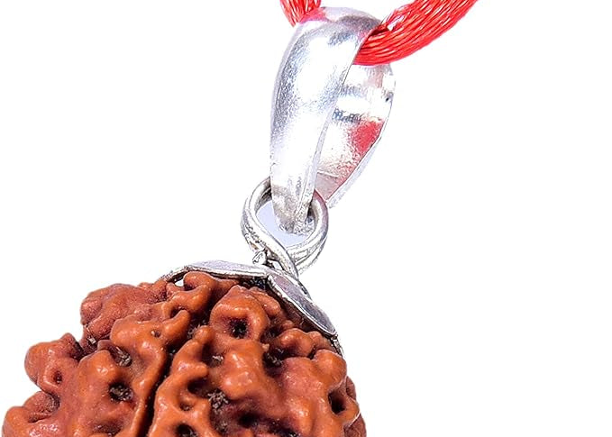 7 mukhi rudraksha original 7 mukhi rudraksha certified rudraksha beads rudraksha single rudraksha pendant rudraksha silver pendant nepali rudraksha 7 face rudraksha