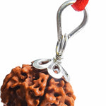 6 mukhi rudraksha rudraksha pendant rudraksha silver pendant for men women