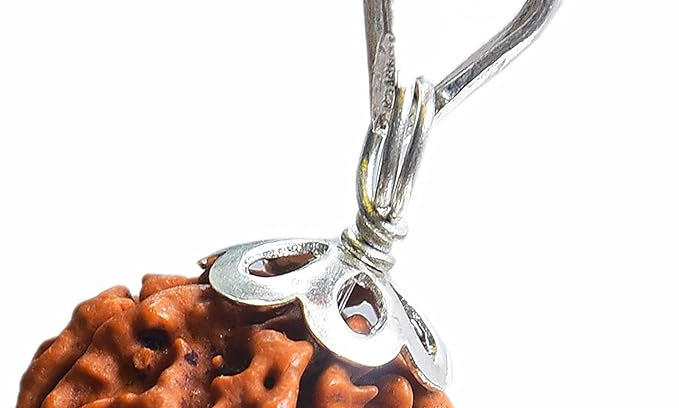 6 mukhi rudraksha rudraksha pendant rudraksha silver pendant for men women