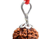 6 mukhi rudraksha rudraksha pendant rudraksha silver pendant for men women