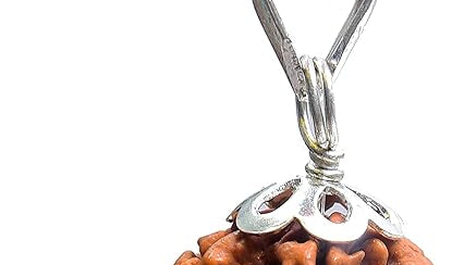 6 mukhi rudraksha rudraksha pendant rudraksha silver pendant for men women