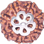 8 mukhi rudraksha with certificate rudraksha pendant rudraksha silver pendant for men women