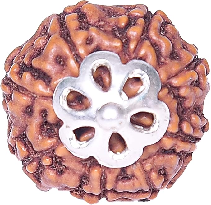 8 mukhi rudraksha with certificate rudraksha pendant rudraksha silver pendant for men women