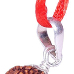 8 mukhi rudraksha with certificate rudraksha pendant rudraksha silver pendant for men women