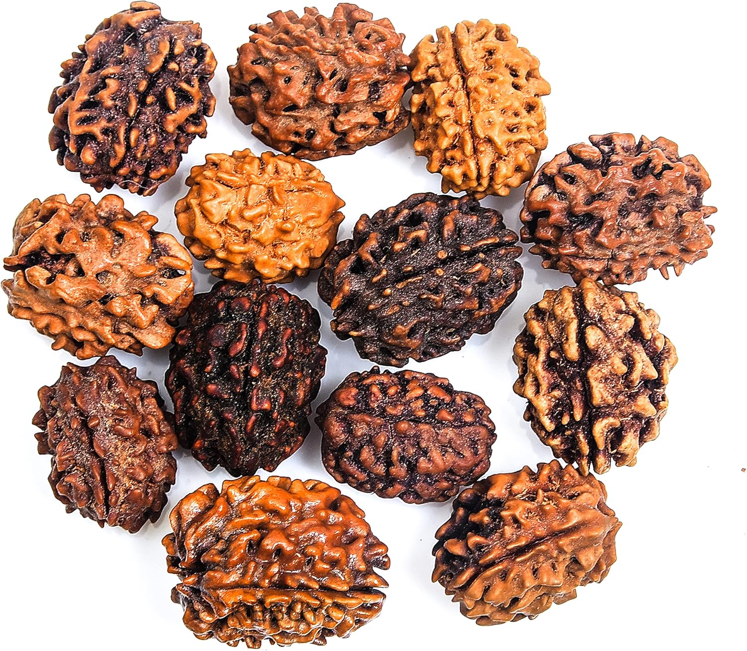 3 mukhi rudraksha rudraksha beads rudraksha beads loose for men women