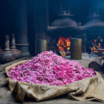Indian Rose Perfume Oil Premium Quality Roll On Fragrance Floral Attar for Men & Women Natural Scent attar  Women's Perfume Oils Scent of Dubai 